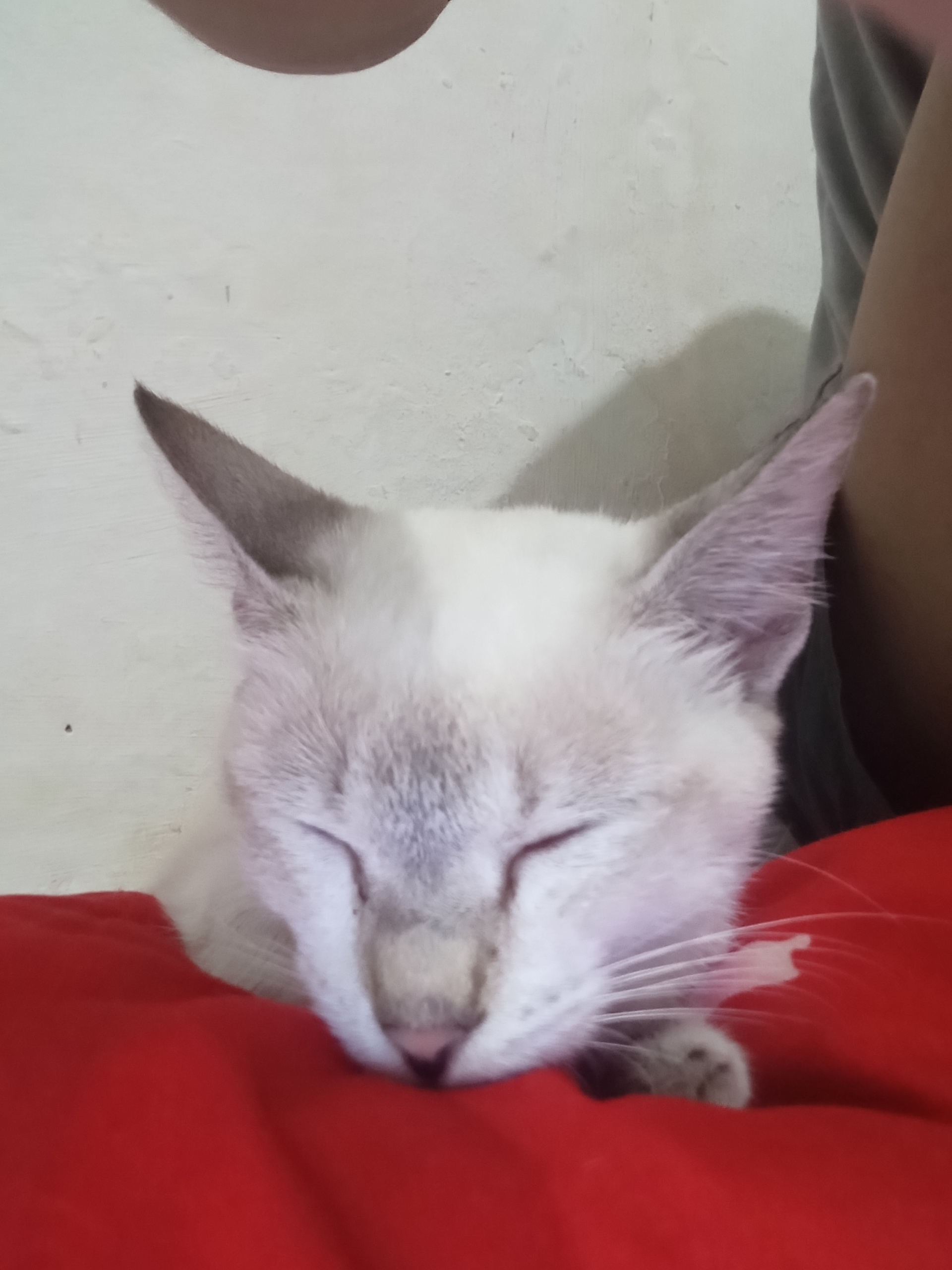 Muhammad