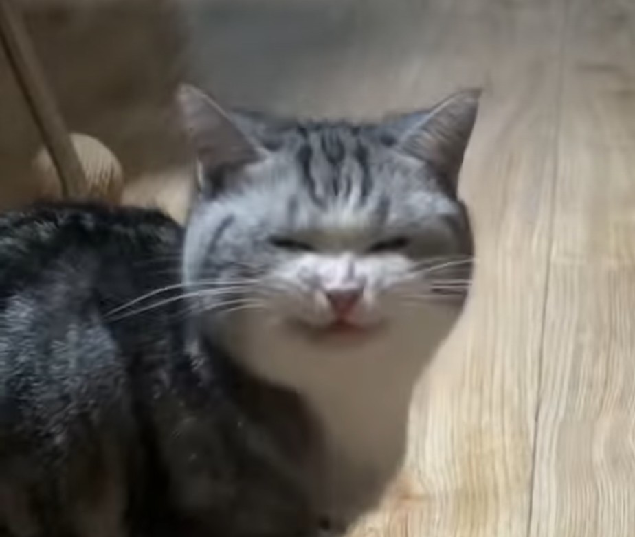 ABU
